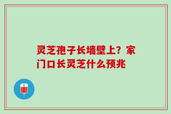灵芝孢子长墙壁上？家门口长灵芝什么预兆