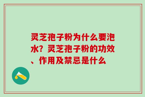 灵芝孢子粉为什么要泡水？灵芝孢子粉的功效、作用及禁忌是什么
