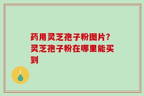 药用灵芝孢子粉图片？灵芝孢子粉在哪里能买到