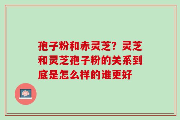 孢子粉和赤灵芝？灵芝和灵芝孢子粉的关系到底是怎么样的谁更好