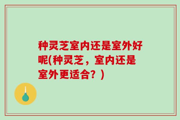 种灵芝室内还是室外好呢(种灵芝，室内还是室外更适合？)