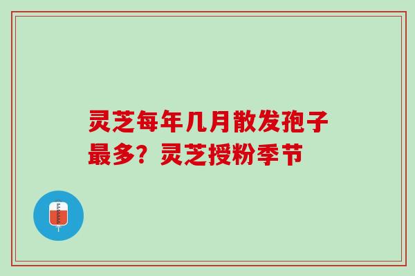 灵芝每年几月散发孢子最多？灵芝授粉季节