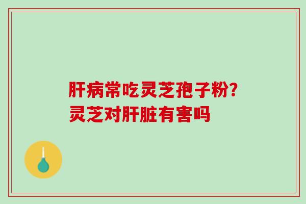 肝病常吃灵芝孢子粉？灵芝对肝脏有害吗