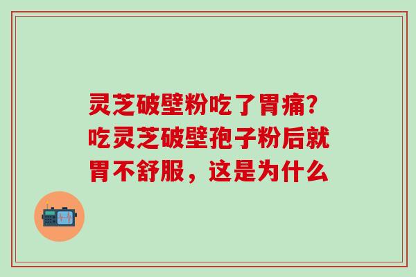 灵芝破壁粉吃了胃痛？吃灵芝破壁孢子粉后就胃不舒服，这是为什么