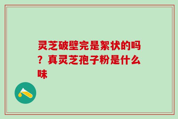 灵芝破壁完是絮状的吗？真灵芝孢子粉是什么味