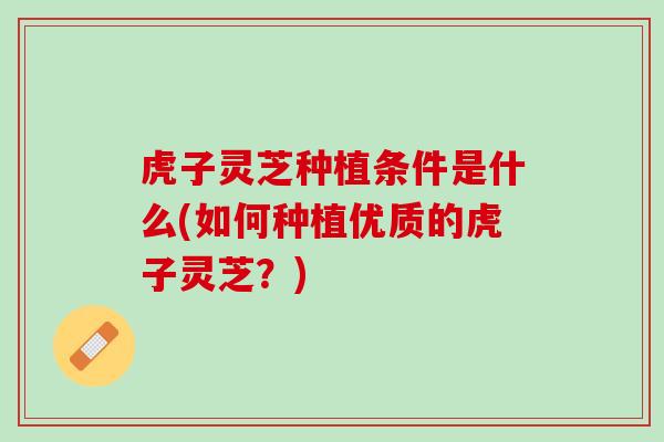 虎子灵芝种植条件是什么(如何种植优质的虎子灵芝？)
