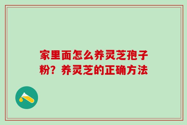 家里面怎么养灵芝孢子粉？养灵芝的正确方法