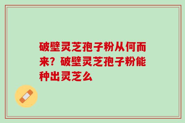 破壁灵芝孢子粉从何而来？破壁灵芝孢子粉能种出灵芝么