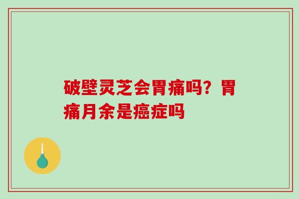 破壁灵芝会胃痛吗？胃痛月余是癌症吗