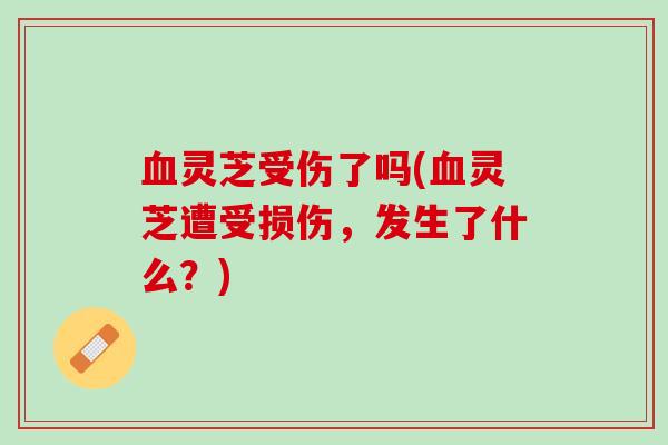 血灵芝受伤了吗(血灵芝遭受损伤，发生了什么？)