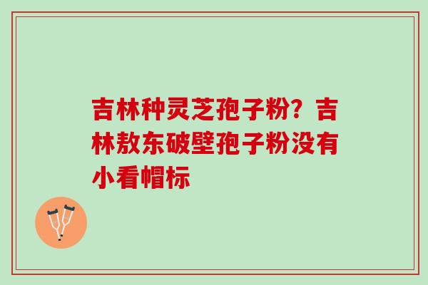 吉林种灵芝孢子粉？吉林敖东破壁孢子粉没有小看帽标