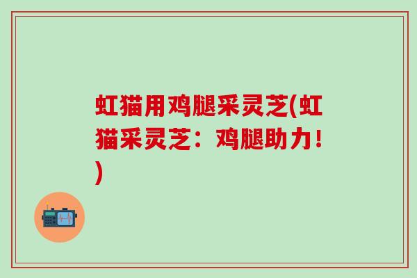 虹猫用鸡腿采灵芝(虹猫采灵芝：鸡腿助力！)