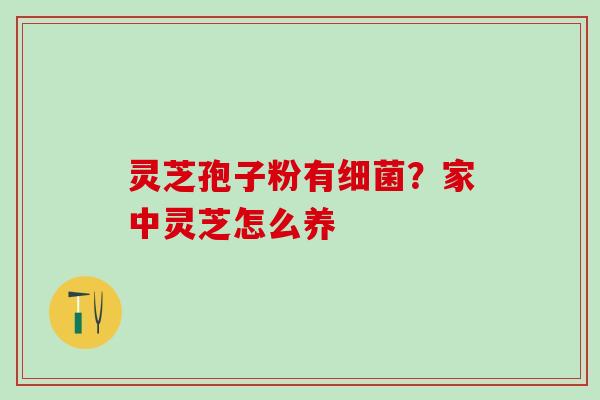 灵芝孢子粉有细菌？家中灵芝怎么养