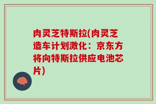 肉灵芝特斯拉(肉灵芝造车计划激化：京东方将向特斯拉供应电池芯片)