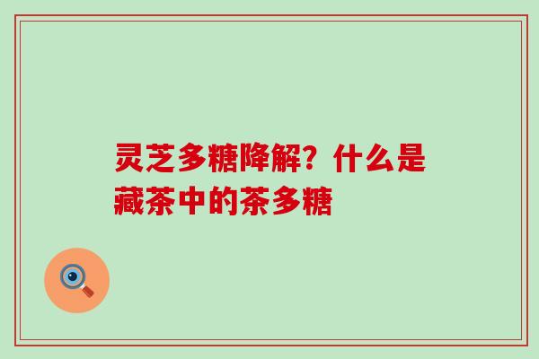 灵芝多糖降解？什么是藏茶中的茶多糖