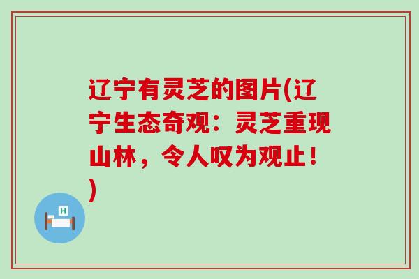 辽宁有灵芝的图片(辽宁生态奇观：灵芝重现山林，令人叹为观止！)