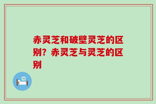 赤灵芝和破壁灵芝的区别？赤灵芝与灵芝的区别