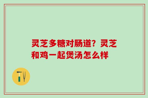 灵芝多糖对肠道？灵芝和鸡一起煲汤怎么样
