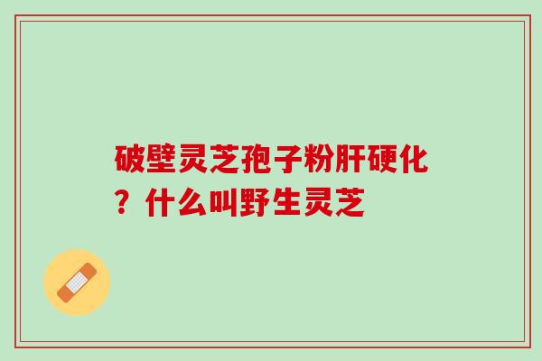 破壁灵芝孢子粉肝硬化？什么叫野生灵芝