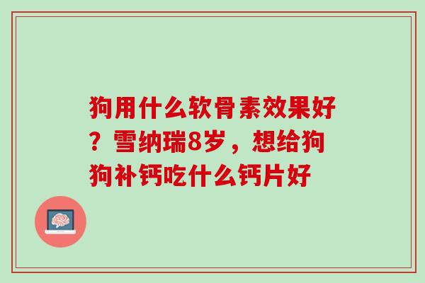 狗用什么软骨素效果好？雪纳瑞8岁，想给狗狗补钙吃什么钙片好