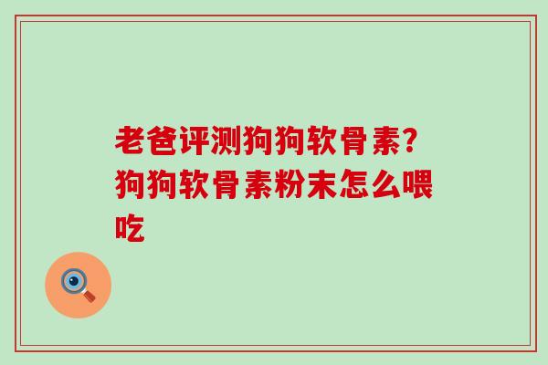 老爸评测狗狗软骨素？狗狗软骨素粉末怎么喂吃