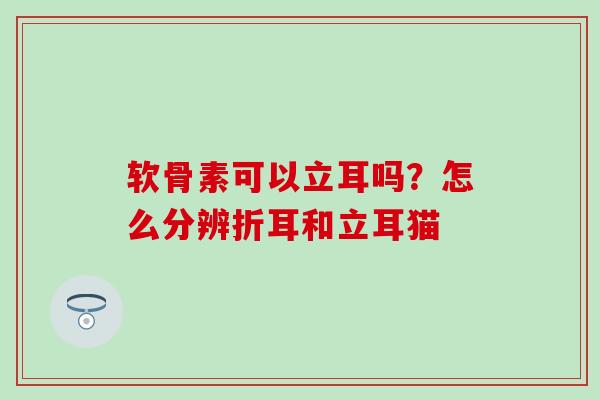 软骨素可以立耳吗？怎么分辨折耳和立耳猫