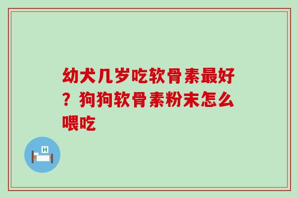 幼犬几岁吃软骨素好?狗狗软骨素粉末怎么喂吃 幼犬几岁吃软骨素好?狗狗软骨素粉末怎么喂吃