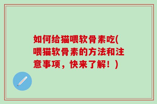 如何给猫喂软骨素吃(喂猫软骨素的方法和注意事项，快来了解！)