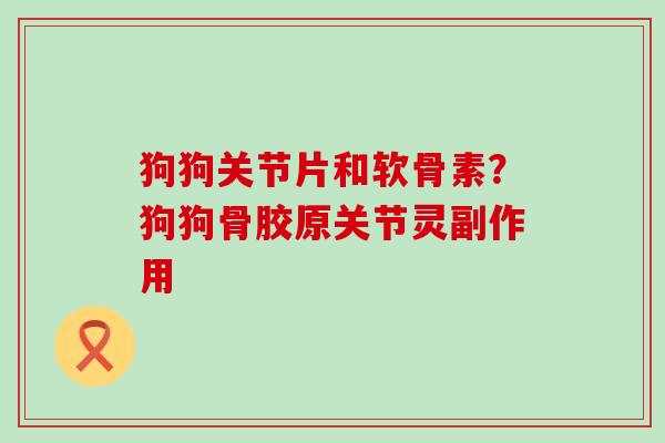 狗狗关节片和软骨素？狗狗骨胶原关节灵副作用