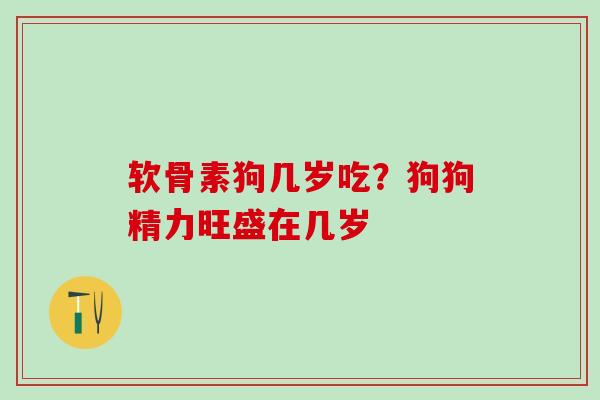 软骨素狗几岁吃？狗狗精力旺盛在几岁