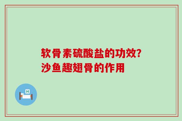软骨素硫酸盐的功效？沙鱼趣翅骨的作用