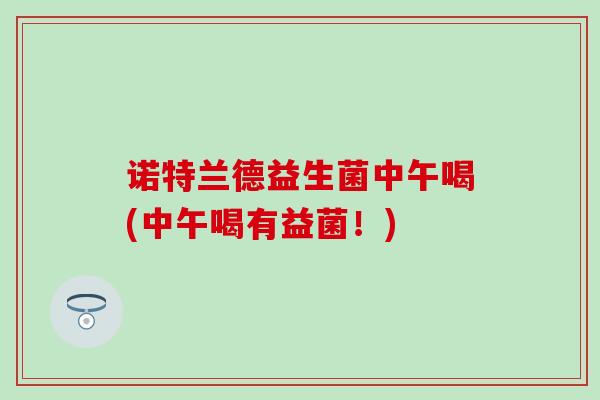 诺特兰德益生菌中午喝(中午喝有益菌！)