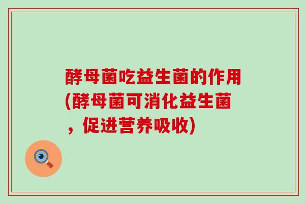 酵母菌吃益生菌的作用(酵母菌可消化益生菌,促进营养吸收) 酵母菌吃益生菌的作用(酵母菌可消化益生菌,促进营养吸收)