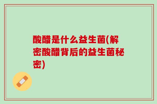 酸醋是什么益生菌(解密酸醋背后的益生菌秘密)