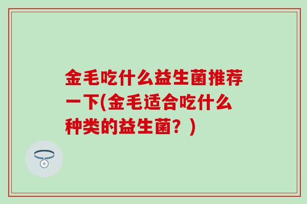 金毛吃什么益生菌推荐一下(金毛适合吃什么种类的益生菌？)
