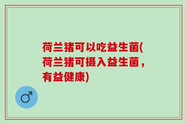 荷兰猪可以吃益生菌(荷兰猪可摄入益生菌，有益健康)