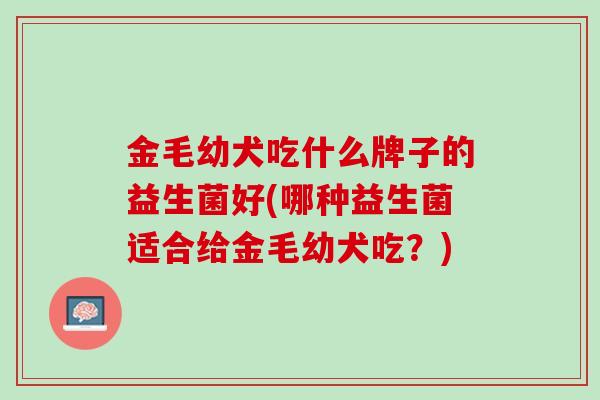 金毛幼犬吃什么牌子的益生菌好(哪种益生菌适合给金毛幼犬吃?) 金毛幼犬吃什么牌子的益生菌好(哪种益生菌适合给金毛幼犬吃?)