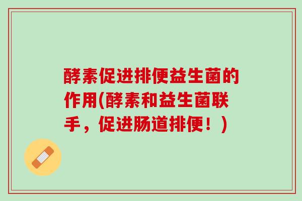 酵素促进排便益生菌的作用(酵素和益生菌联手，促进肠道排便！)