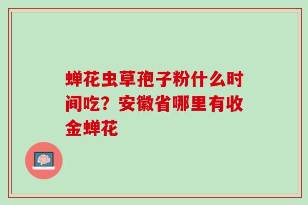 蝉花虫草孢子粉什么时间吃？安徽省哪里有收金蝉花