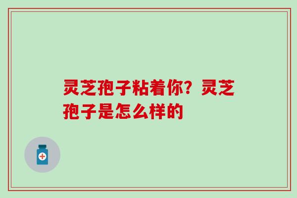 灵芝孢子粘着你？灵芝孢子是怎么样的