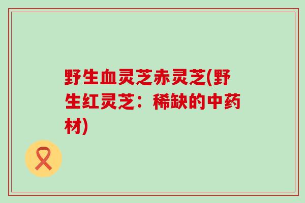 野生血灵芝赤灵芝(野生红灵芝：稀缺的中药材)