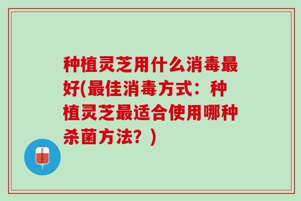 种植灵芝用什么消毒最好(最佳消毒方式：种植灵芝最适合使用哪种杀菌方法？)