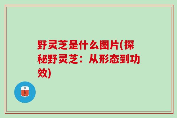 野灵芝是什么图片(探秘野灵芝：从形态到功效)