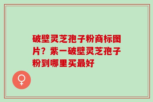 破壁灵芝孢子粉商标图片？紫一破壁灵芝孢子粉到哪里买最好