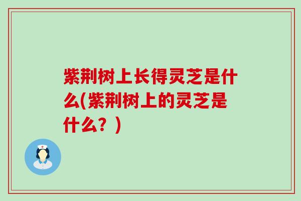 紫荆树上长得灵芝是什么(紫荆树上的灵芝是什么？)