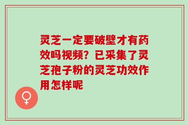 灵芝一定要破壁才有药效吗视频？已采集了灵芝孢子粉的灵芝功效作用怎样呢