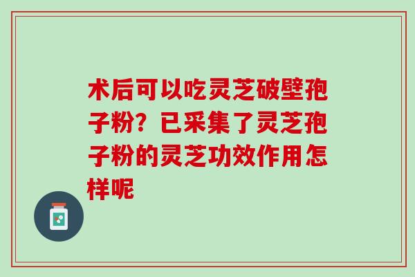 术后可以吃灵芝破壁孢子粉？已采集了灵芝孢子粉的灵芝功效作用怎样呢