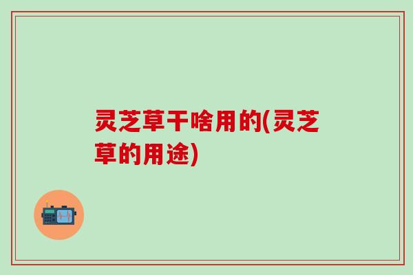 灵芝草干啥用的(灵芝草的用途)
