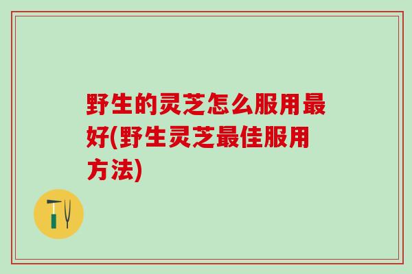 野生的灵芝怎么服用好(野生灵芝佳服用方法) 野生的灵芝怎么服用好(野生灵芝佳服用方法)