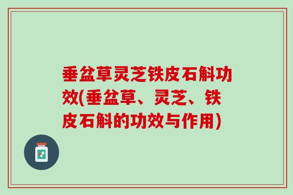 垂盆草灵芝铁皮石斛功效(垂盆草、灵芝、铁皮石斛的功效与作用)